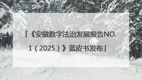 《安徽数字法治发展报告NO.1（2025）》蓝皮书发布