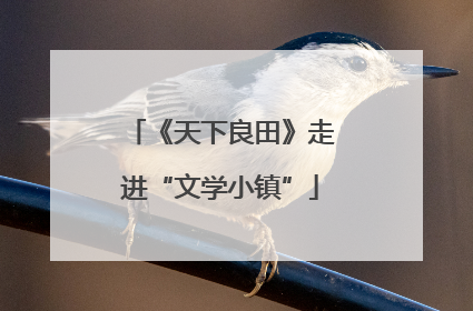 《天下良田》走进“文学小镇”