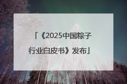 《2025中国粽子行业白皮书》发布