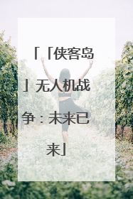 「侠客岛」无人机战争：未来已来