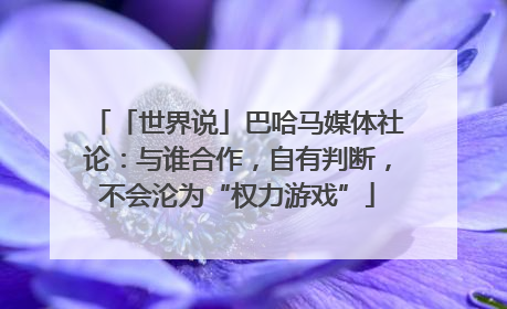 「世界说」巴哈马媒体社论：与谁合作，自有判断，不会沦为“权力游戏”