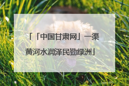 「中国甘肃网」一渠黄河水润泽民勤绿洲
