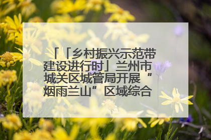「乡村振兴示范带建设进行时」兰州市城关区城管局开展“烟雨兰山”区域综合整治专项行动