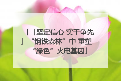 「坚定信心 实干争先」“钢铁森林”中 重塑“绿色”火电基因