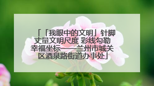 「我眼中的文明」针脚丈量文明尺度 彩线勾勒幸福坐标——兰州市城关区酒泉路街道办事处