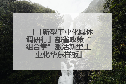 「新型工业化媒体调研行」部省政策“组合拳”激活新型工业化华东样板