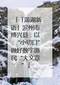 「蒲湖新语」滨州市博兴县：以“小切口”做好数字惠民“大文章”