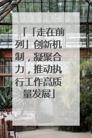 「走在前列」创新机制，凝聚合力，推动执行工作高质量发展