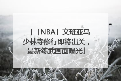 「NBA」文班亚马少林寺修行即将出关，最新练武画面曝光