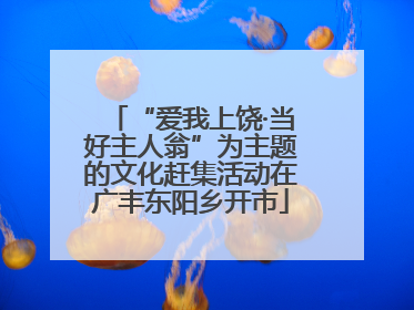 “爱我上饶·当好主人翁”为主题的文化赶集活动在广丰东阳乡开市