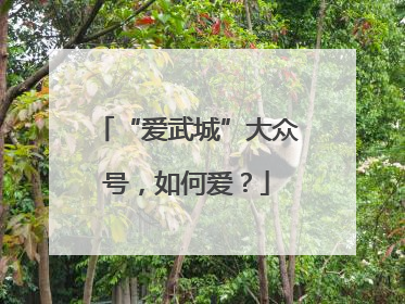 “爱武城”大众号，如何爱？