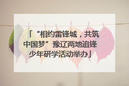 “相约雷锋城，共筑中国梦”豫辽两地追锋少年研学活动举办