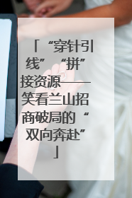 “穿针引线”“拼”接资源——笑看兰山招商破局的“双向奔赴”