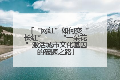 “网红”如何变“长红”——“一朵花”激活城市文化基因的破题之路
