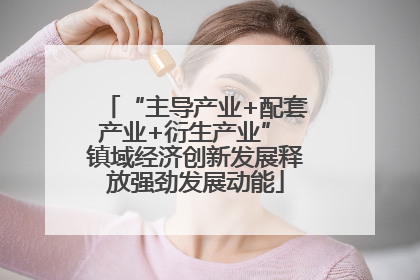 “主导产业+配套产业+衍生产业” 镇域经济创新发展释放强劲发展动能
