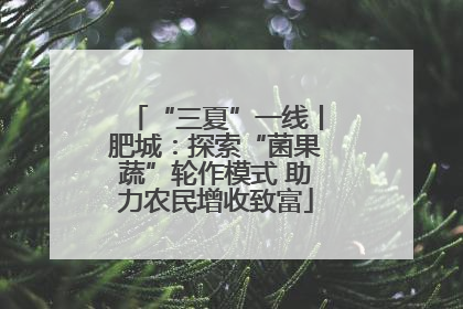“三夏”一线丨肥城：探索“菌果蔬”轮作模式 助力农民增收致富