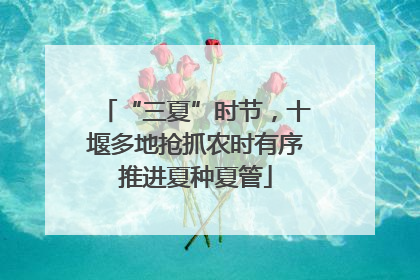 “三夏”时节，十堰多地抢抓农时有序推进夏种夏管