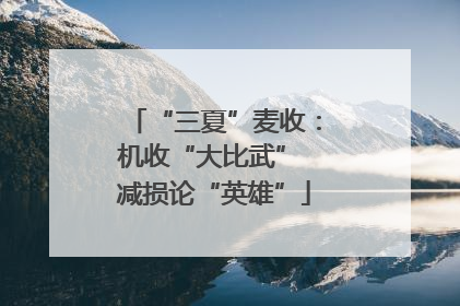 “三夏”麦收：机收“大比武” 减损论“英雄”