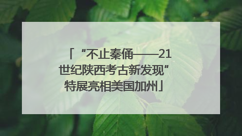 “不止秦俑——21世纪陕西考古新发现”特展亮相美国加州