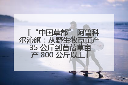 “中国草都” 阿鲁科尔沁旗：从野生牧草亩产 35 公斤到苜蓿草亩产 800 公斤以上