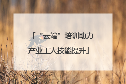 “云端”培训助力产业工人技能提升