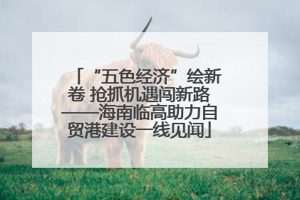 “五色经济”绘新卷 抢抓机遇闯新路——海南临高助力自贸港建设一线见闻