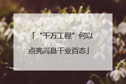 “千万工程”何以点亮嵩县千业百态