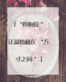 “停狗位 ”：让温情藏在 “方寸之间 ”
