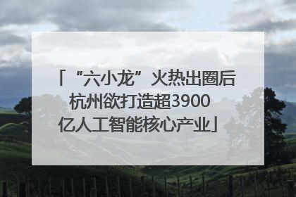 “六小龙”火热出圈后 杭州欲打造超3900亿人工智能核心产业
