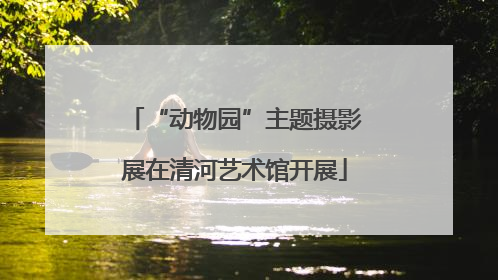 “动物园”主题摄影展在清河艺术馆开展