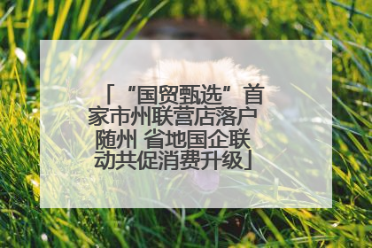 “国贸甄选”首家市州联营店落户随州 省地国企联动共促消费升级
