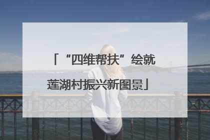 “四维帮扶”绘就莲湖村振兴新图景