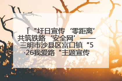 “圩日宣传‘零距离’共筑铁路‘安全网’——三明市沙县区富口镇“5·26我爱路“主题宣传活动成效显著