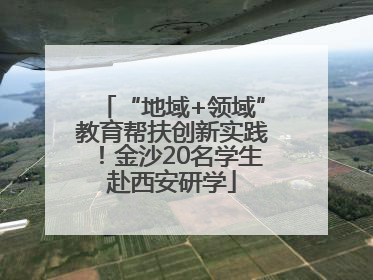 “地域+领域”教育帮扶创新实践！金沙20名学生赴西安研学