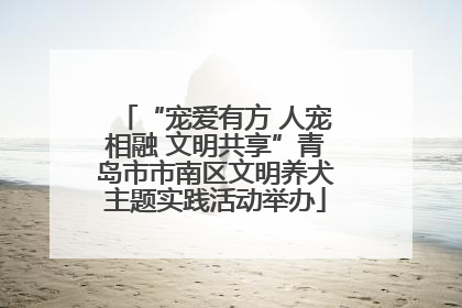 “宠爱有方 人宠相融 文明共享”青岛市市南区文明养犬主题实践活动举办