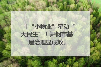 “小物业”牵动“大民生”！舞钢市基层治理显成效