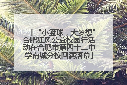 “小篮球，大梦想”合肥狂风公益校园行活动在合肥市第四十二中学南城分校圆满落幕
