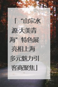 “山宗水源·大美青海”特色展亮相上海 多元魅力引客商聚焦