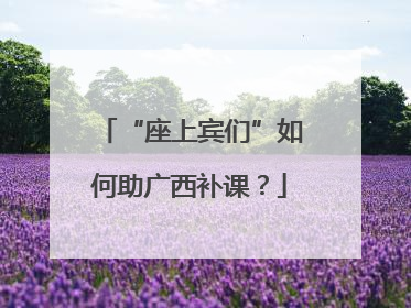 “座上宾们”如何助广西补课？