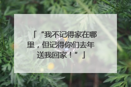 “我不记得家在哪里，但记得你们去年送我回家！”