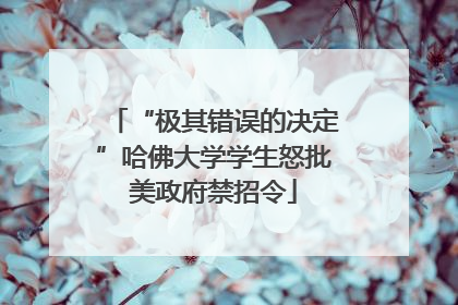 “极其错误的决定”哈佛大学学生怒批美政府禁招令