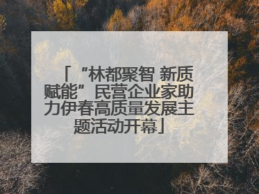 “林都聚智 新质赋能”民营企业家助力伊春高质量发展主题活动开幕