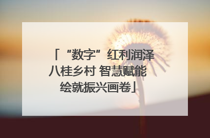 “数字”红利润泽八桂乡村 智慧赋能绘就振兴画卷