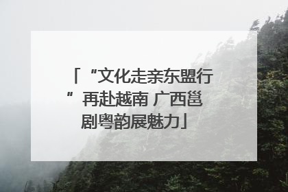 “文化走亲东盟行”再赴越南 广西邕剧粤韵展魅力