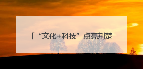 “文化+科技”点亮荆楚之美 第二十一届深圳文博会湖北馆抢“鲜”看