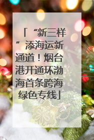“新三样”添海运新通道！烟台港开通环渤海首条跨海绿色专线