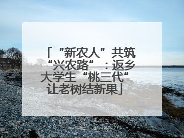 “新农人”共筑“兴农路”：返乡大学生“桃三代”让老树结新果