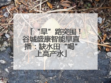 “旱”路突围！谷城盛康智能旱直播：缺水田“喝”上高产水