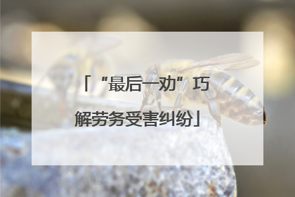 “最后一劝”巧解劳务受害纠纷