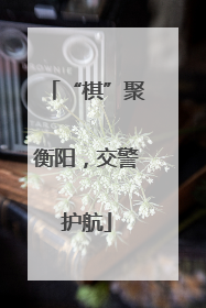 “棋”聚衡阳，交警护航